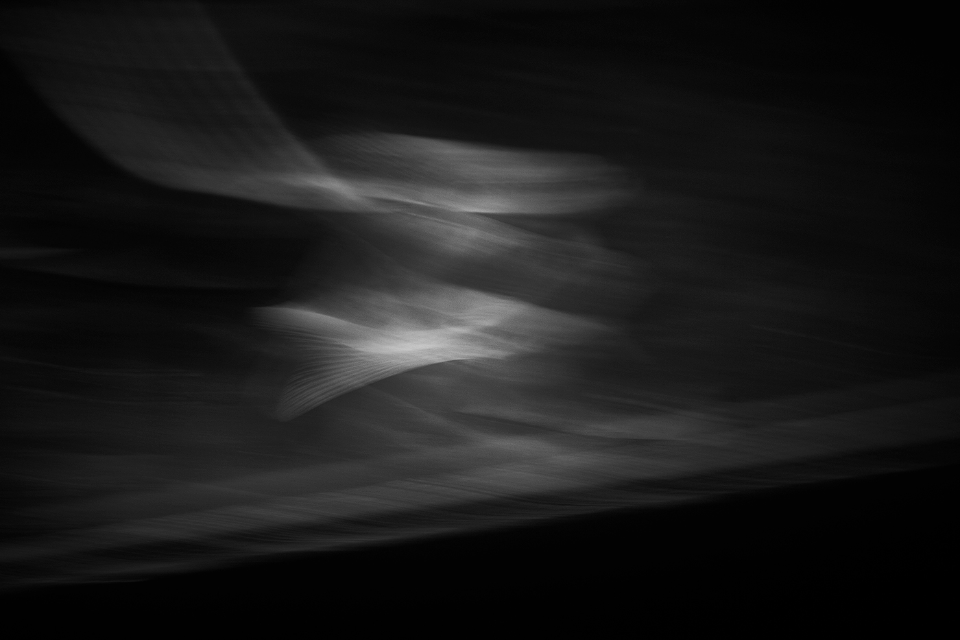 fine art fish blackandwhite Photography  blur motion black White swim