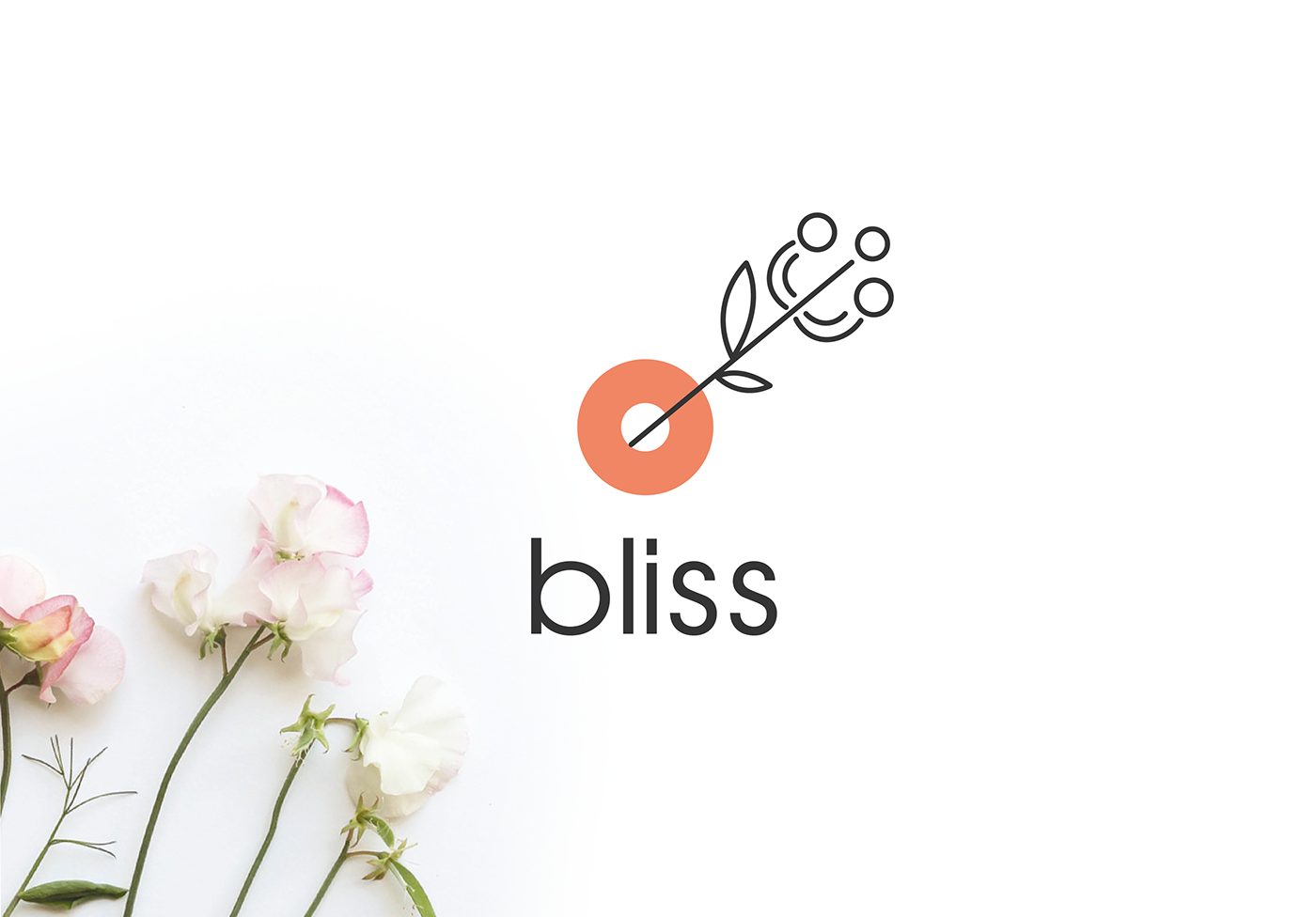 bliss branding  design flowershop graphic identi identity logo