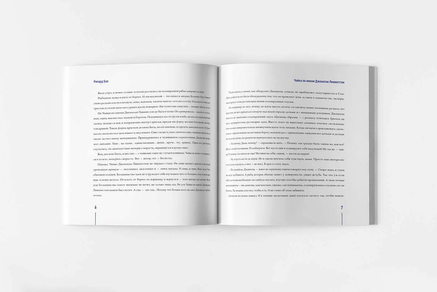 book book design poligrafic design grafic design design Jonatan Livingston Seagull