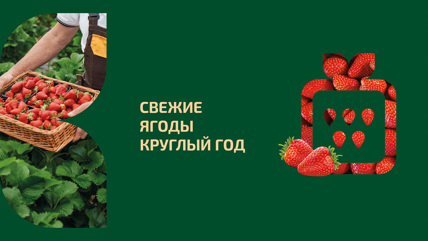 brand identity farm green identity logo Logotype Packaging premium stationary strawberry