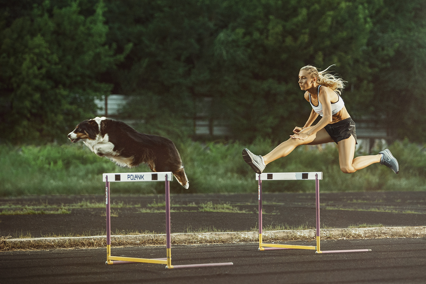dog jump life OLIMPIC run sport training