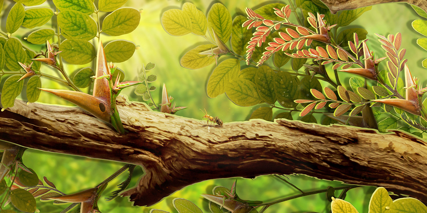 kididoc macro background Nature digital concept art animation  oliviadenisart Education plants