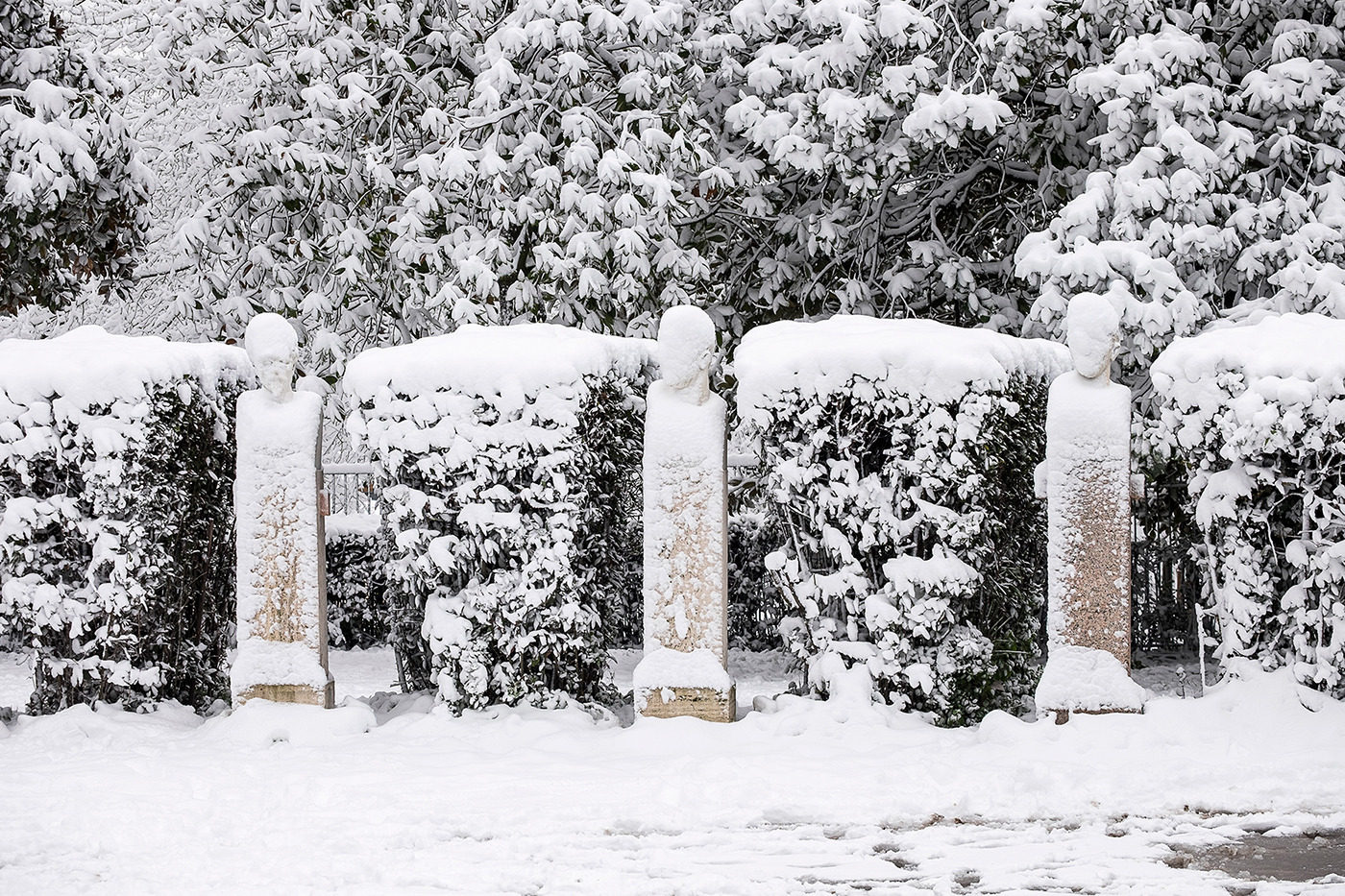 Rome villa borghese winter snow cold White trees fountain