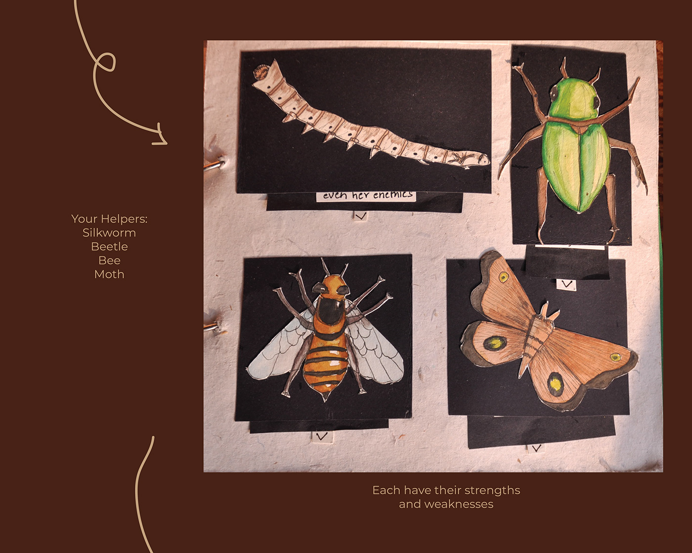 ILLUSTRATION  Zine  Insects Photography 