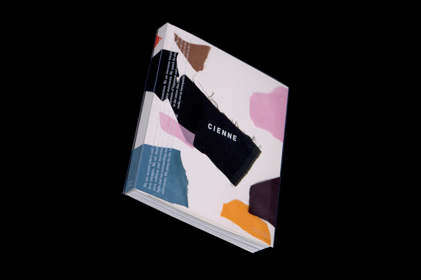 Cienne: Brand Book on Behance
