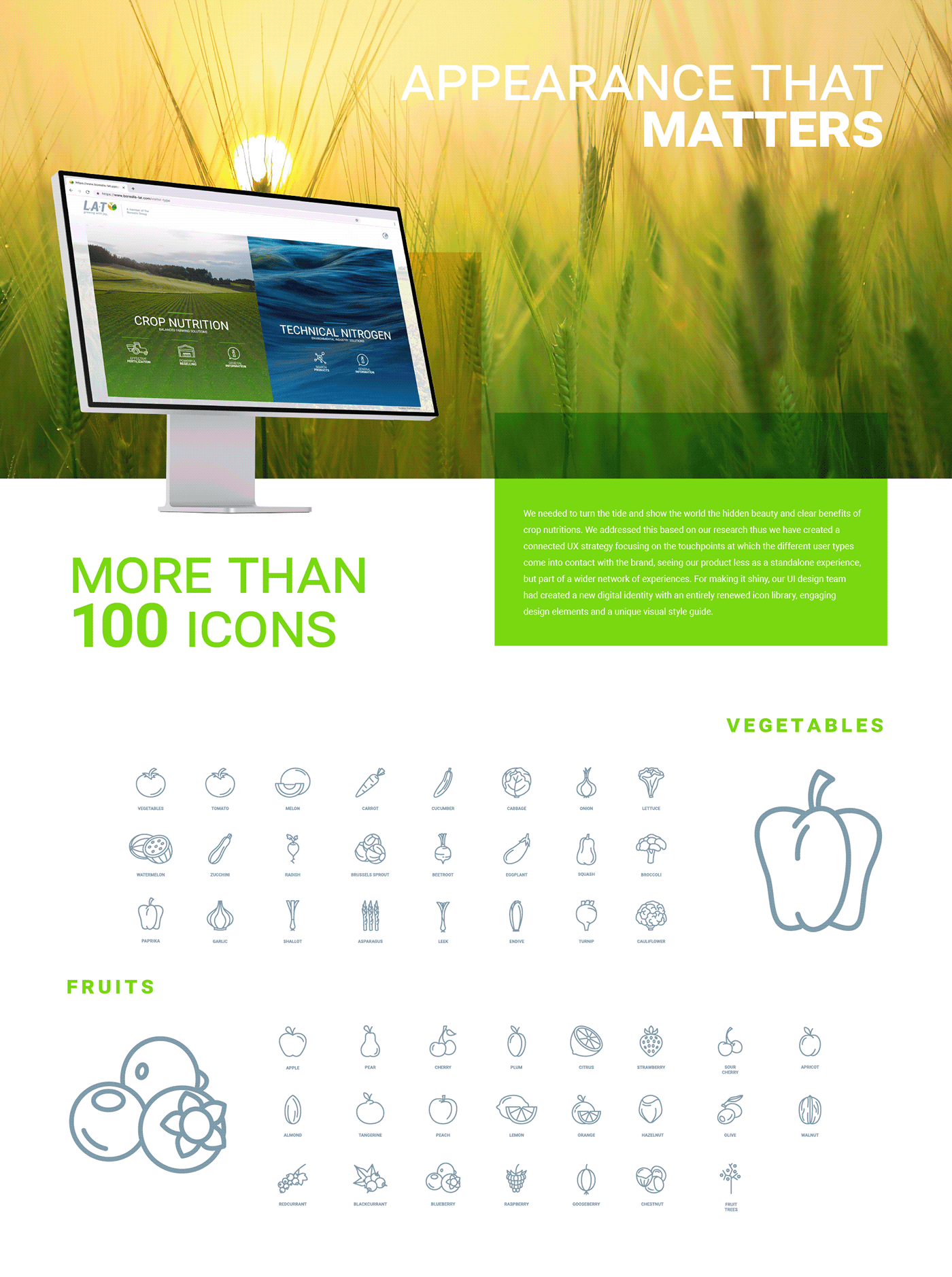 Borealis brand Webdesign uidesign UI icons Layout Icondesign cognitivecreatos green