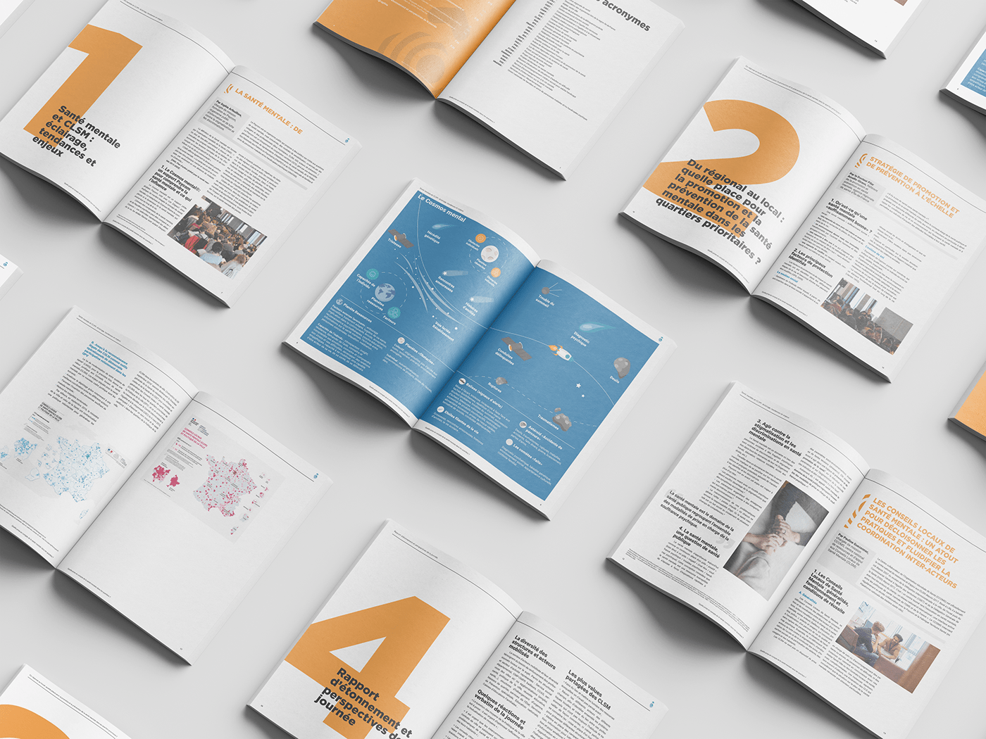book editorial editorial design  Layout print social Sustainability