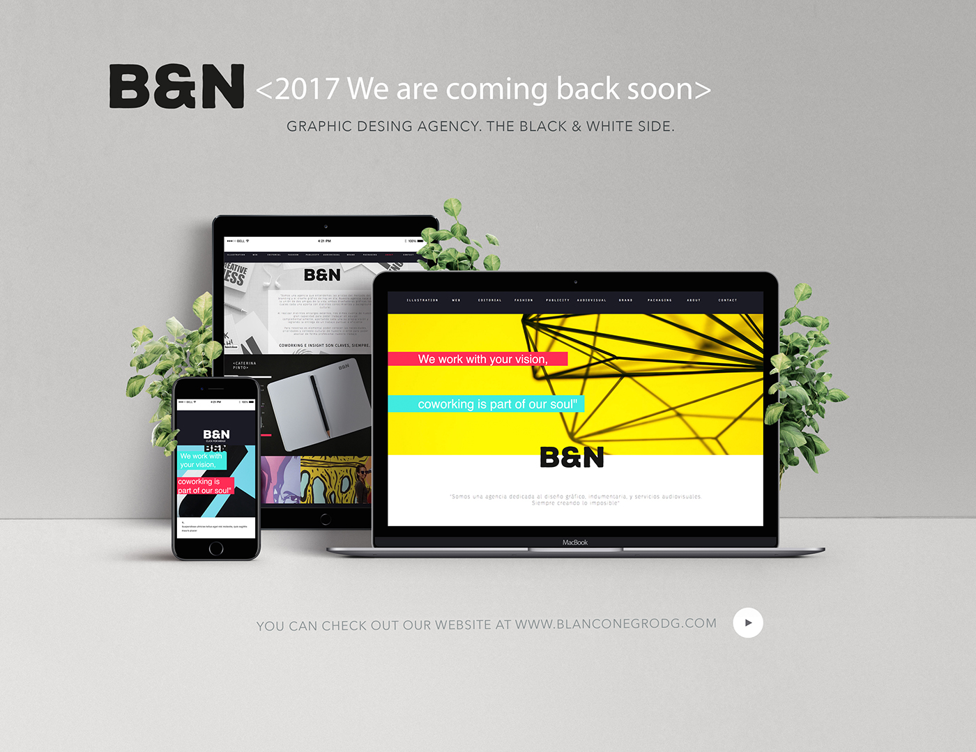 branding  Web responsive web UI agency graphic design 