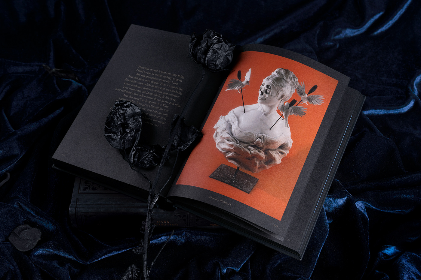 ILLUSTRATION  art book book design book cover dark grotesque illustrations artwork graphic design 