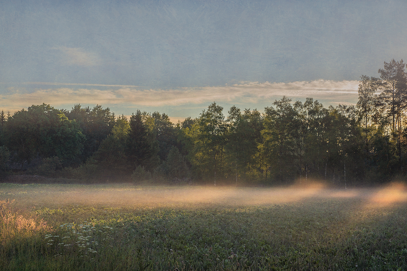calm Cottage field fog forest landscape europe moon rural Scandinavia