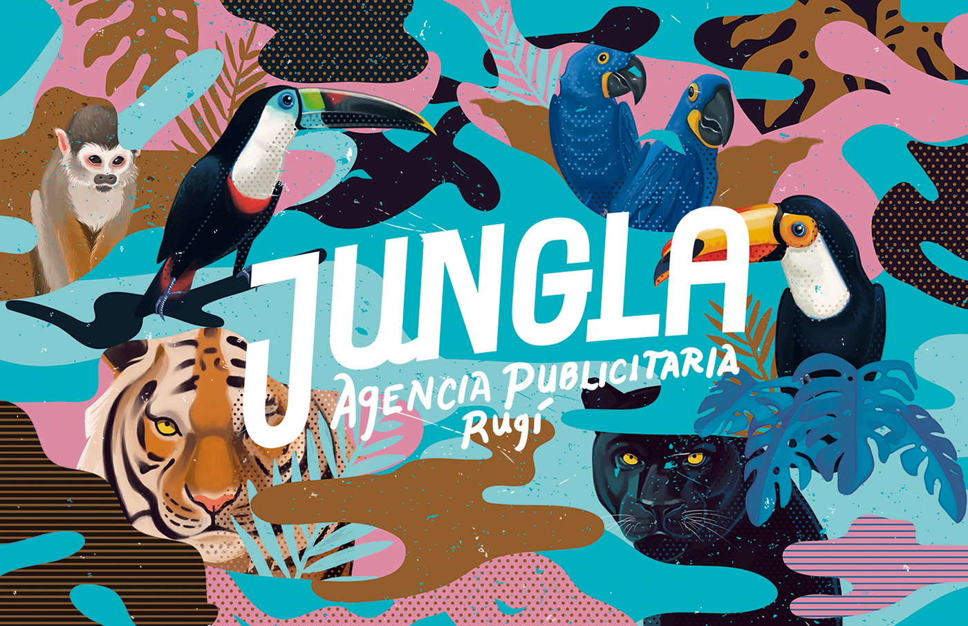 Tropical jungla jungle tucan toucan tiger panther pantera monkey german gonzalez Nature naturaleza