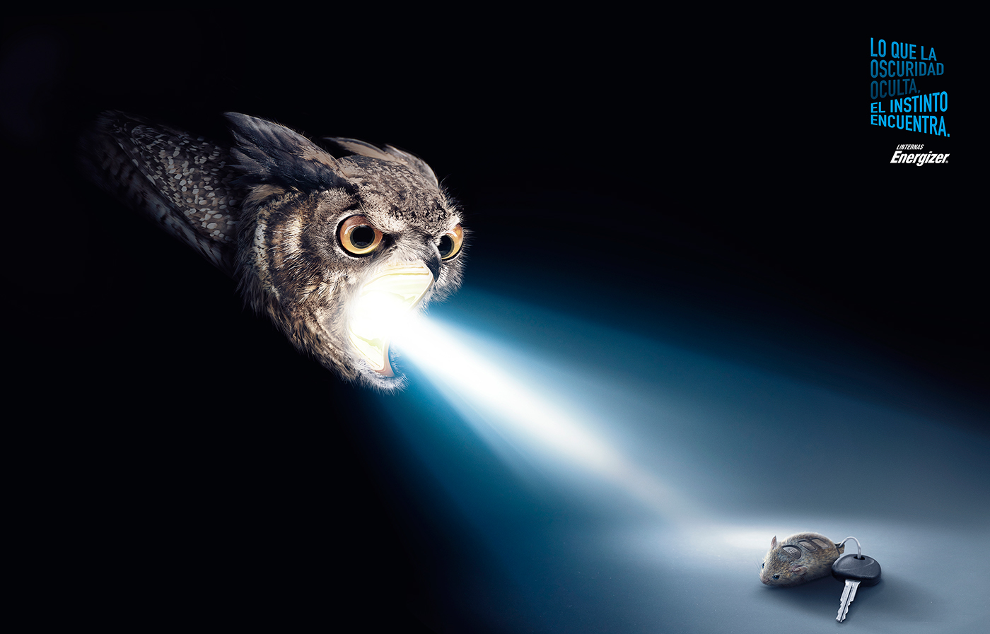 buho oso Gato raton pajaro linternas luz bear Cat bird flashlight light owl instinct print