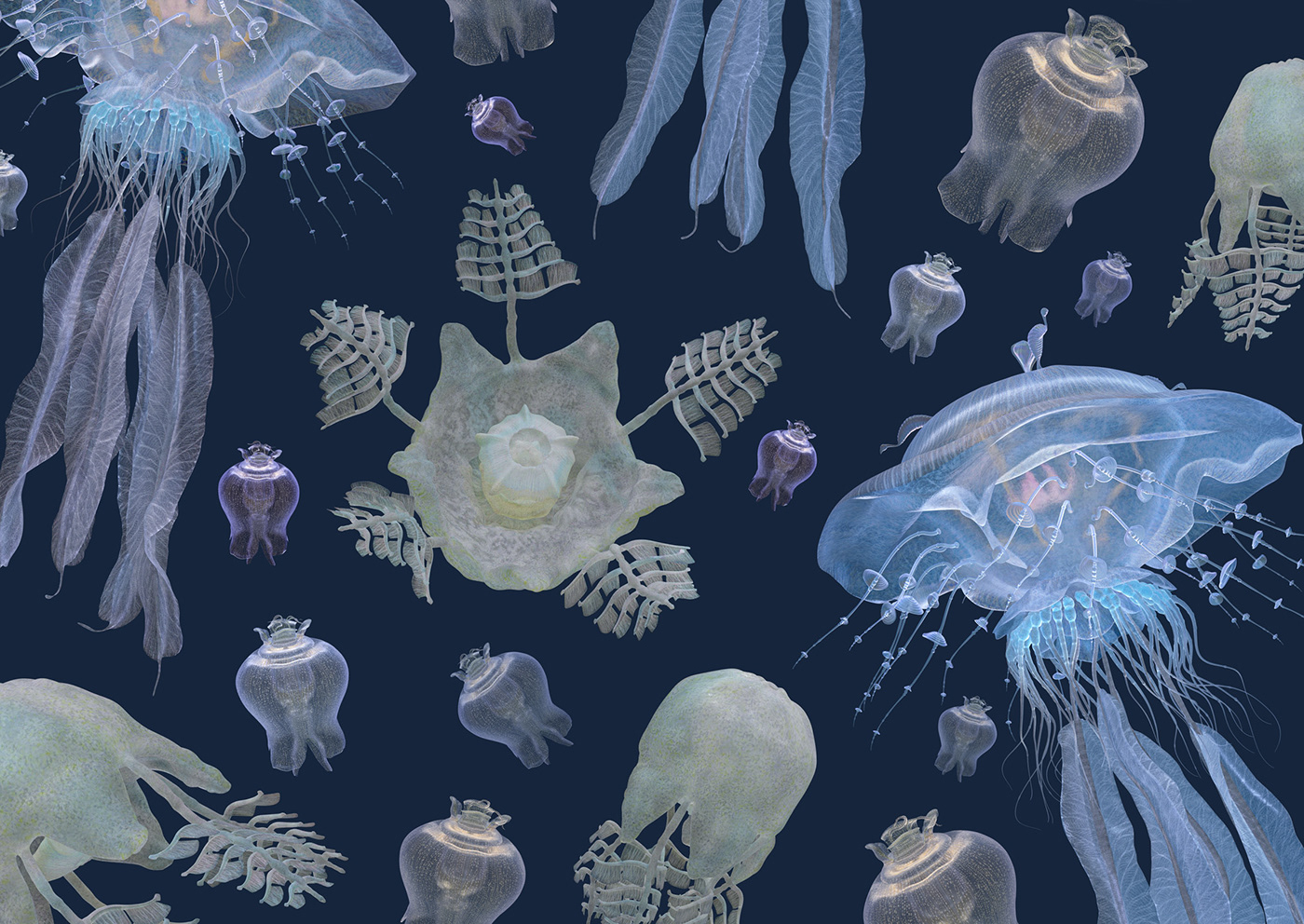3D jellyfish underwater creatures imaginary CGI Render deep sea animals CG