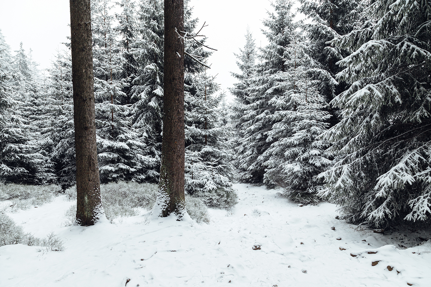 brocken Harz winter Landscape Nature snow schnee Canon explore Travel