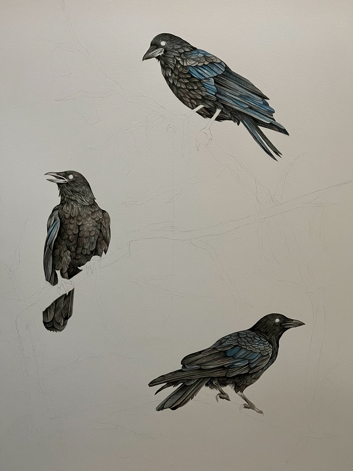 watercolor gouache painting   crows fine art bird art