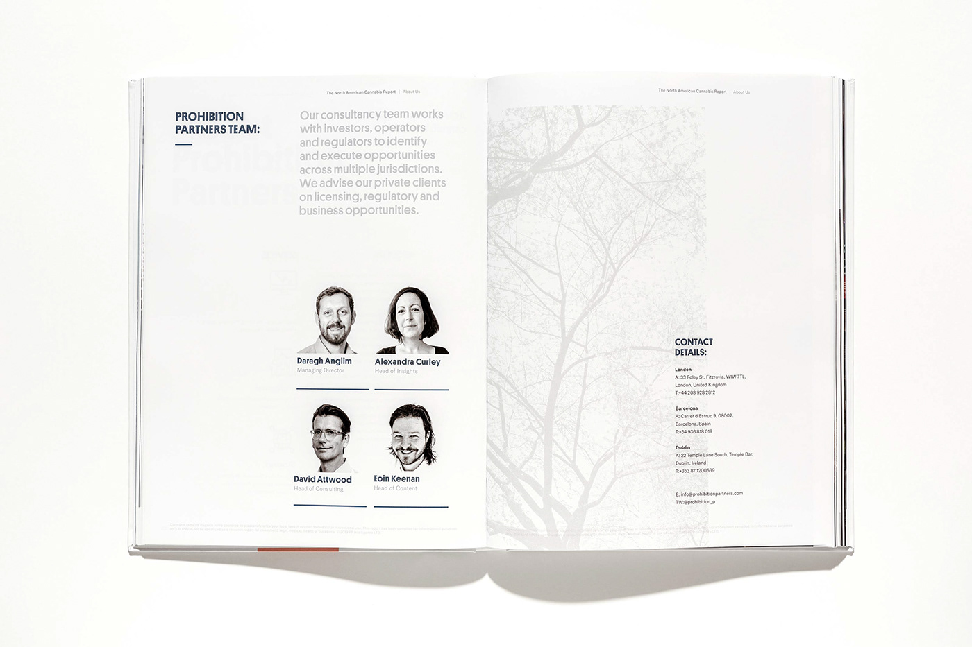 annual report book cannabis editorial design  Layout magazine print report typography   weed