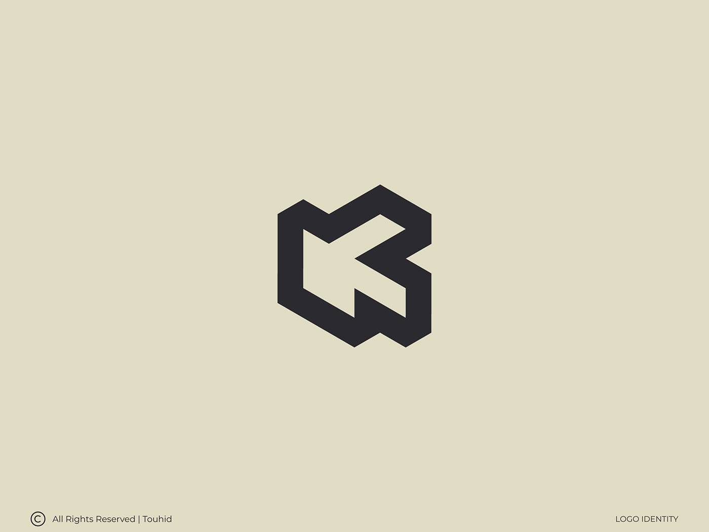 letter logo brand identity Logo Design identity minimal simple logo designer logo identity lettering