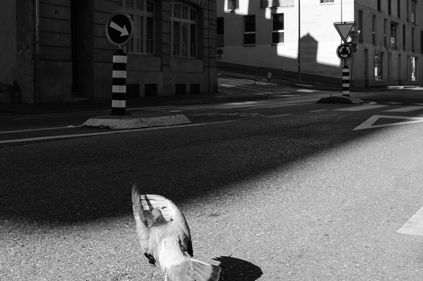 street photography Urban black and white Photography  Switzerland Fujifilm X100F strolling streetlife neighborhood Fribourg