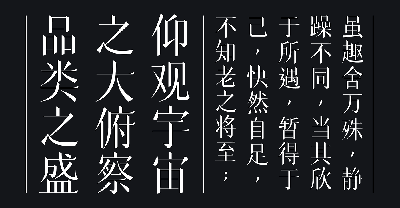 中文字库 字体设计 chinese font font design type design Typeface typography  