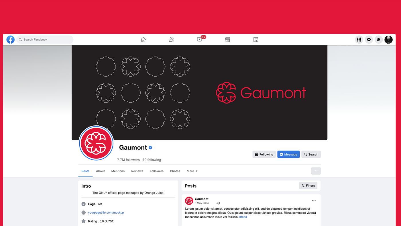 gaumont Cinema Film   cinematography logo brand identity branding  visual identity