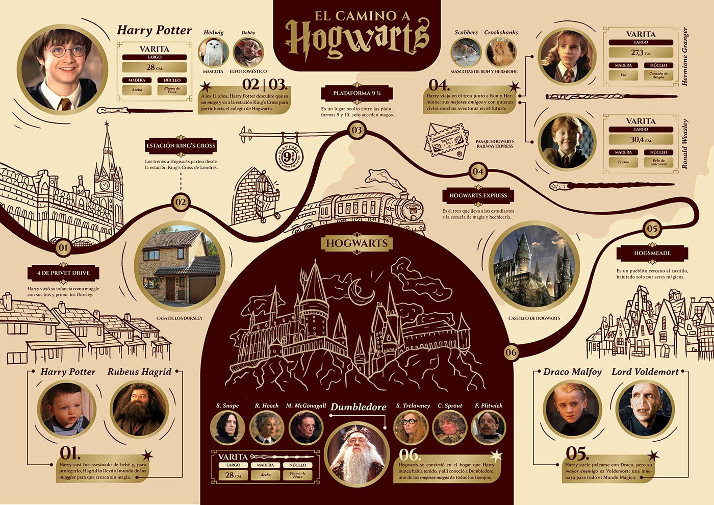 ilustración digital infografia inphographic harry potter Hogwarts graphic design  diseño gráfico ILLUSTRATION  Drawing  interactive