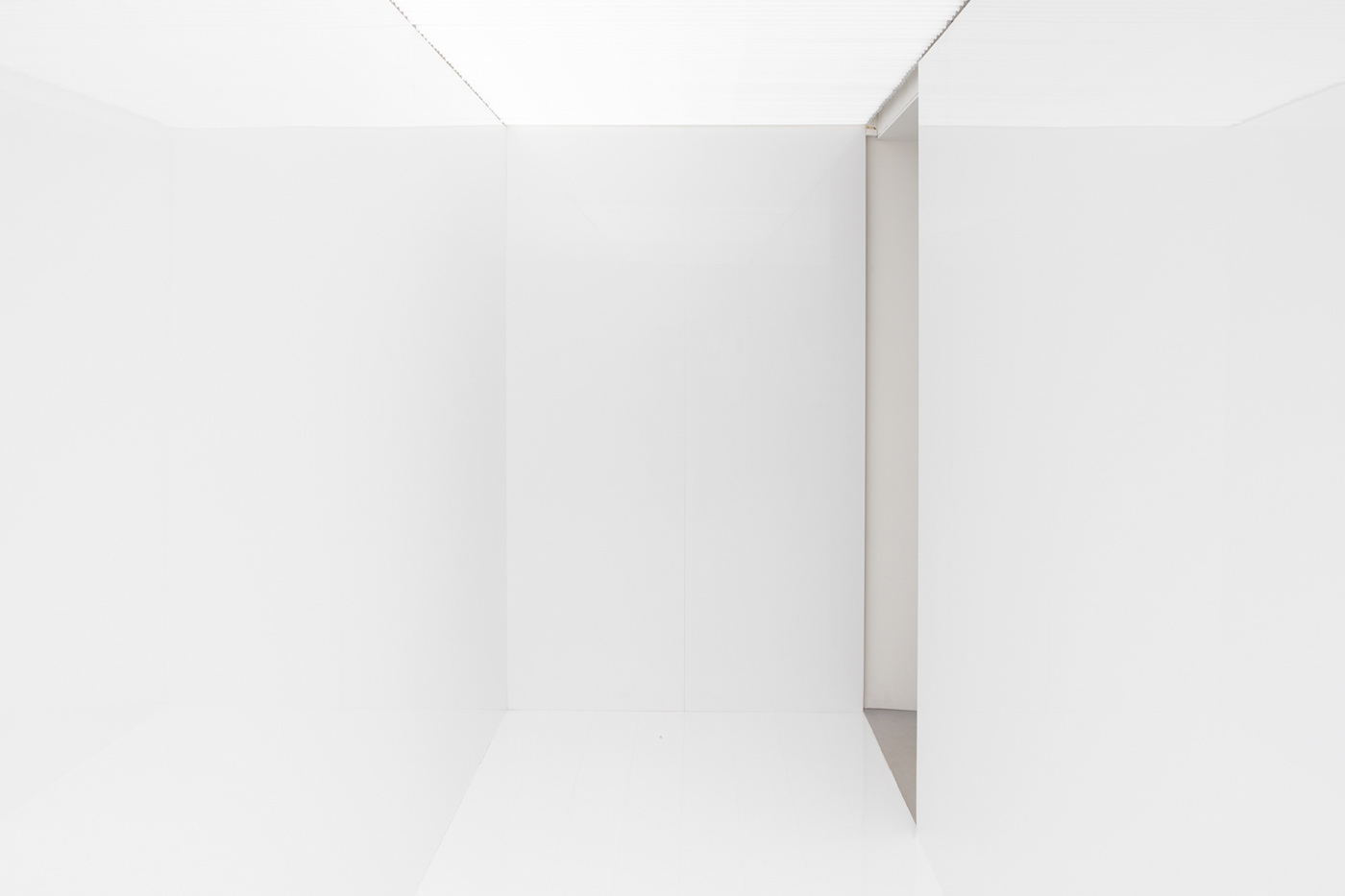 Dario Ruggiero Ryoji Ikeda spectre iii biennale 2019 art architecture installation