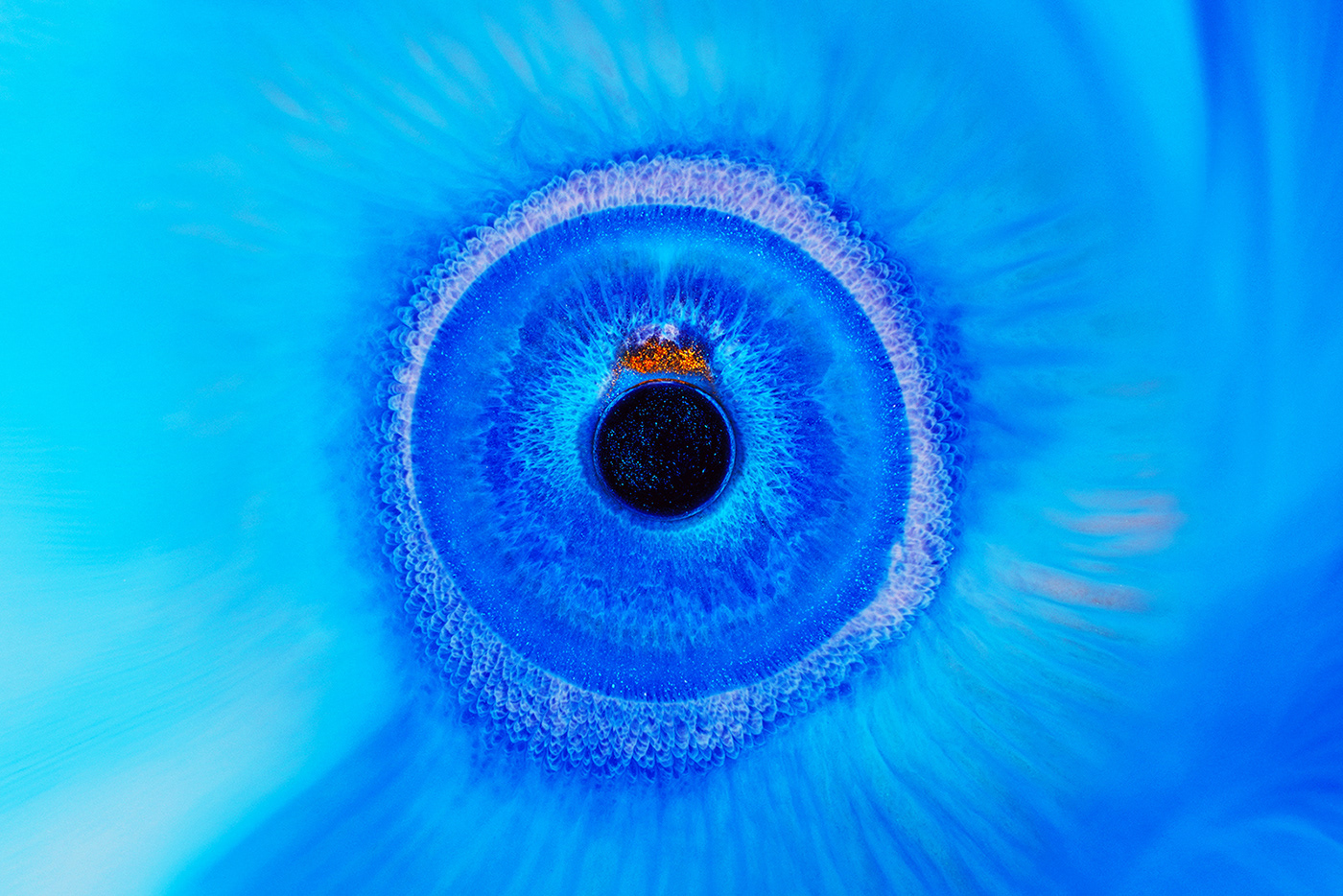 abstract art blue color eye green photo Photography  sonyA7RIV