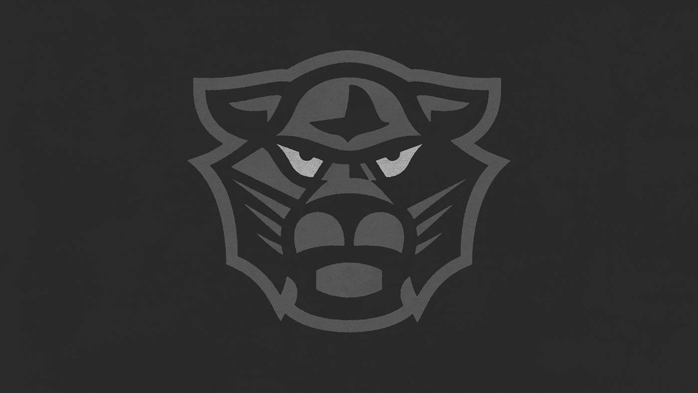 panther eye logo visual identity