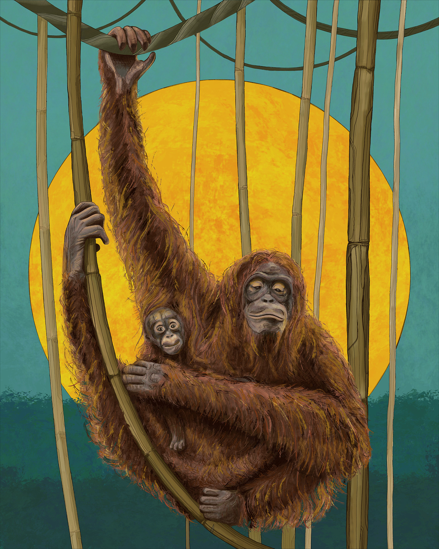 adobefresco apes artwork digital illustration Drawing  orangutans rising