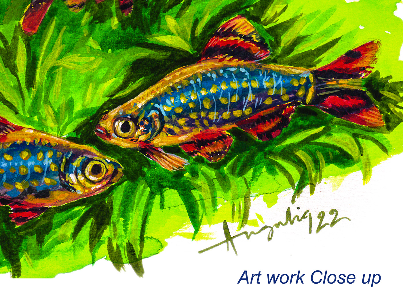 aquarium Aquariumdesign aquascape artwork calendar design calendar2023 fishes gouche painting handpainted illustration ILLUSTRATION 