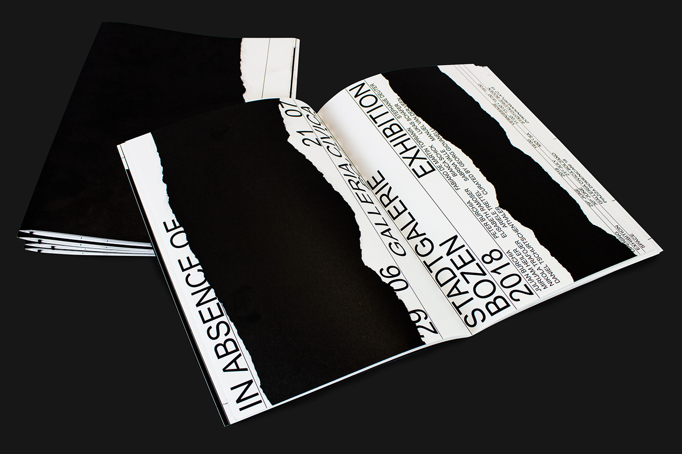 visual identity Exhibition  black and white graphic design  poster editorial books
