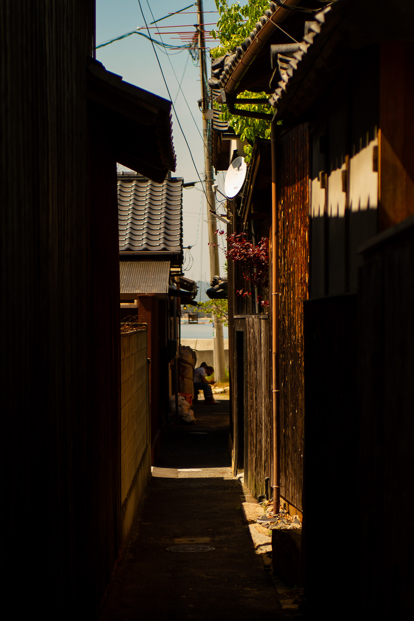 Canon culture japan kagawa lightroomclassic naoshima Photography  traditional Travel trip