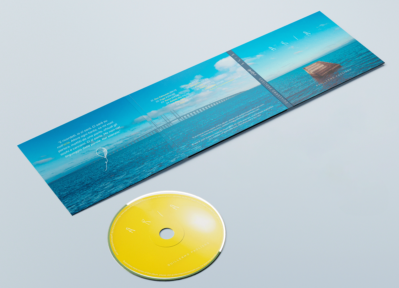 art album artist artwork CD design CD packaging design Fotografia music Photography  print