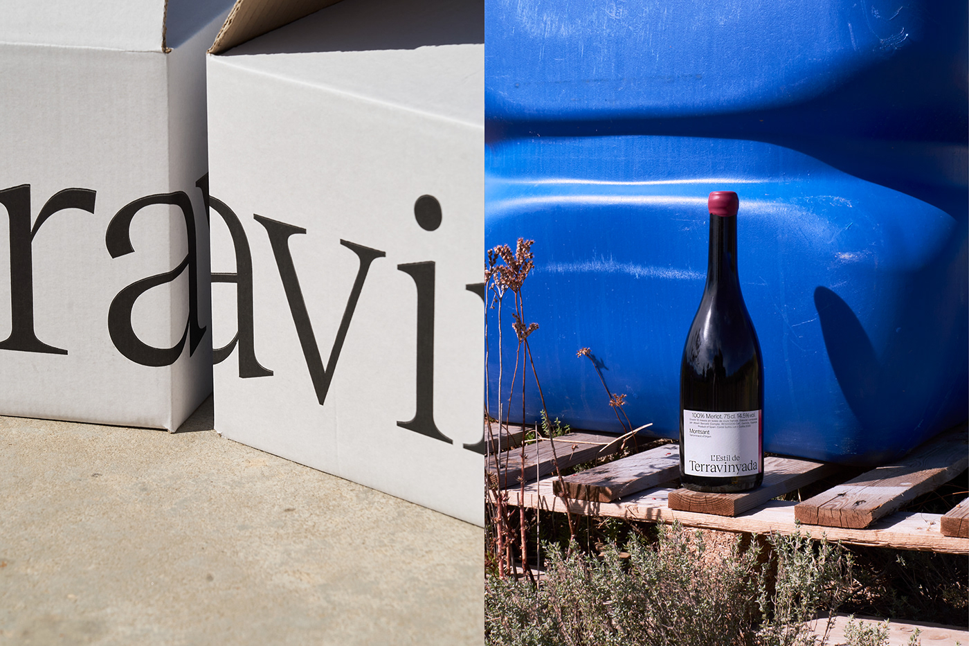brand identity wine winery Wine Bottle Website Photography  editorial logo naming visual identity