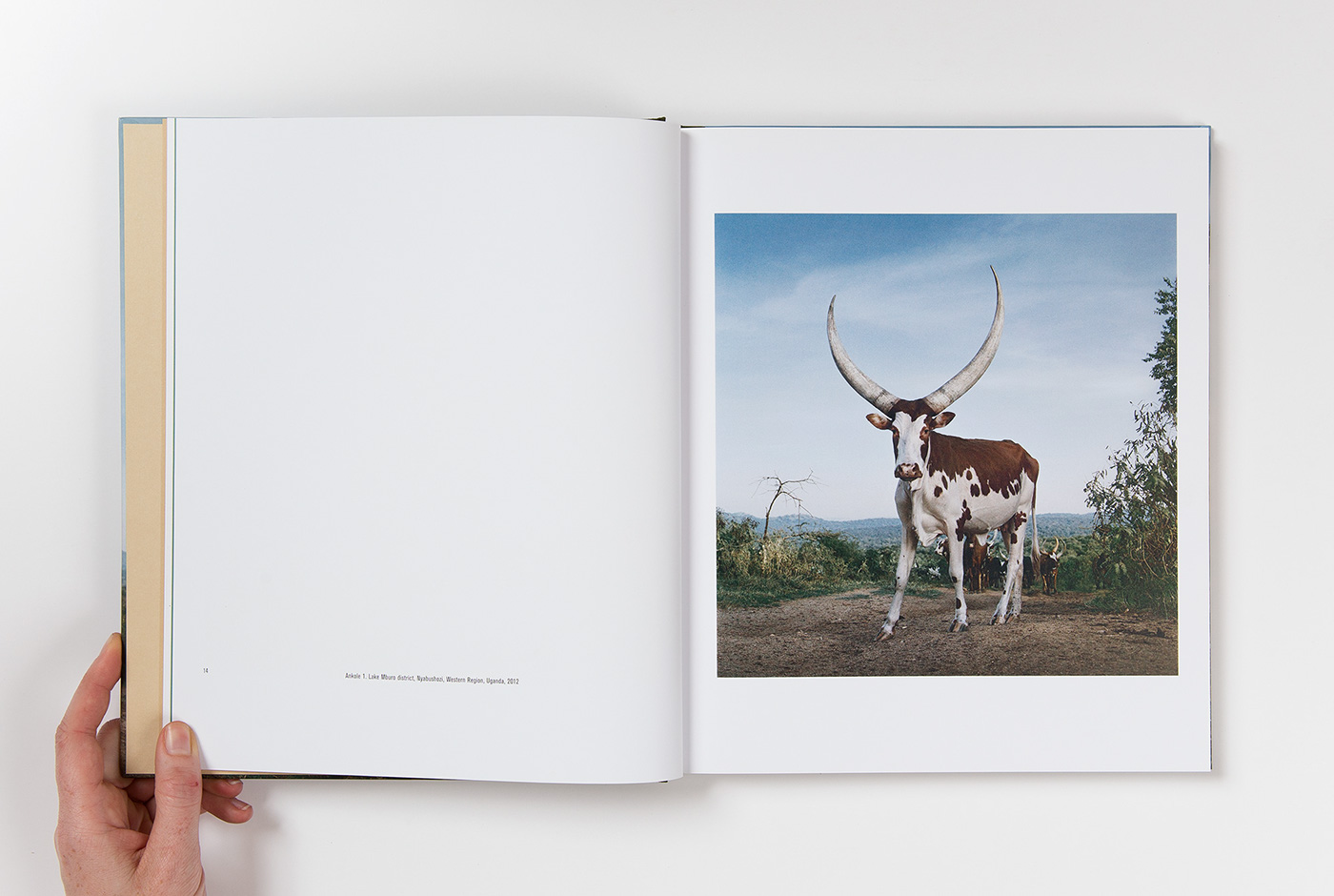 danielnaude photobook photo book Prestel Daniel Naudé