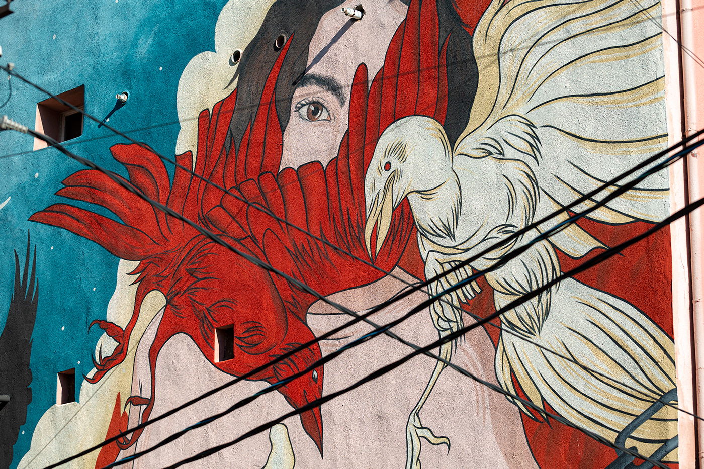 art artwork crow Drawing  festival legend Mural raven streetart streetartfestival
