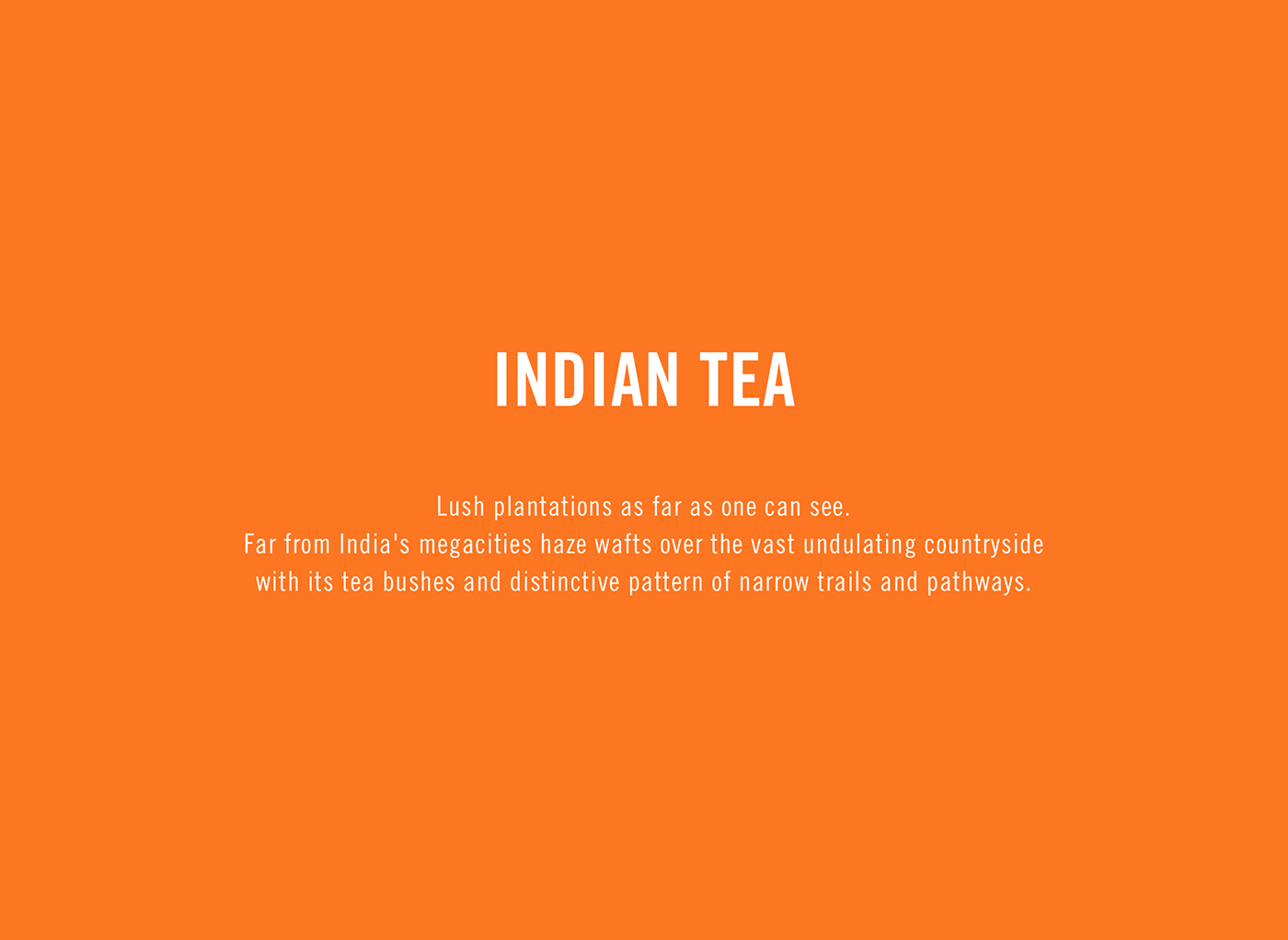 India tea landscapes black tea growing hills nutrition plants