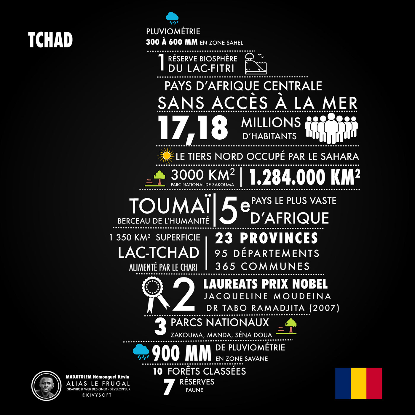 cameroun CEMAC Congo Gabon graphic design  Guinée Équatoriale infographic RCA statistics Tchad
