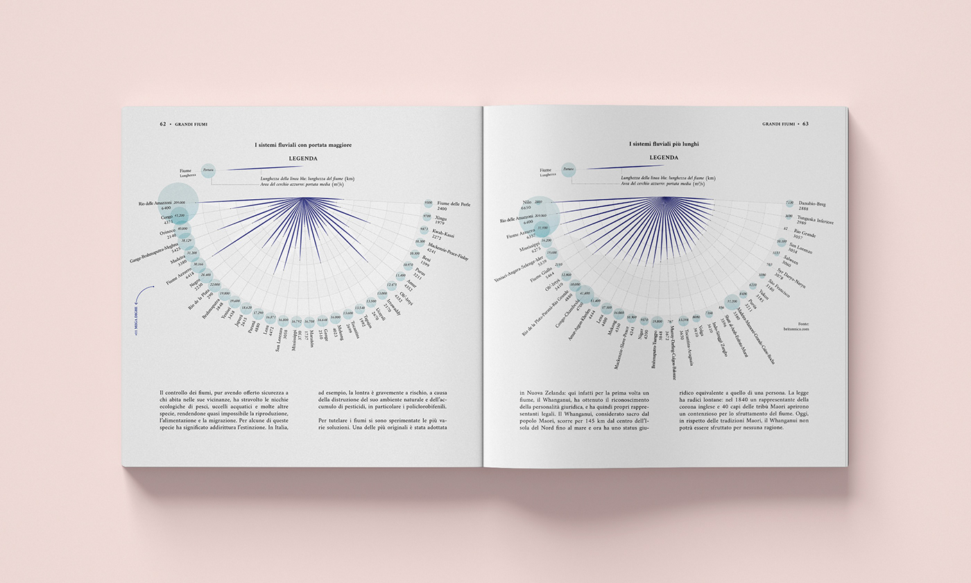 book Bookdesign Data datavi DATAVISUALIZATION dataviz infographics visualization water
