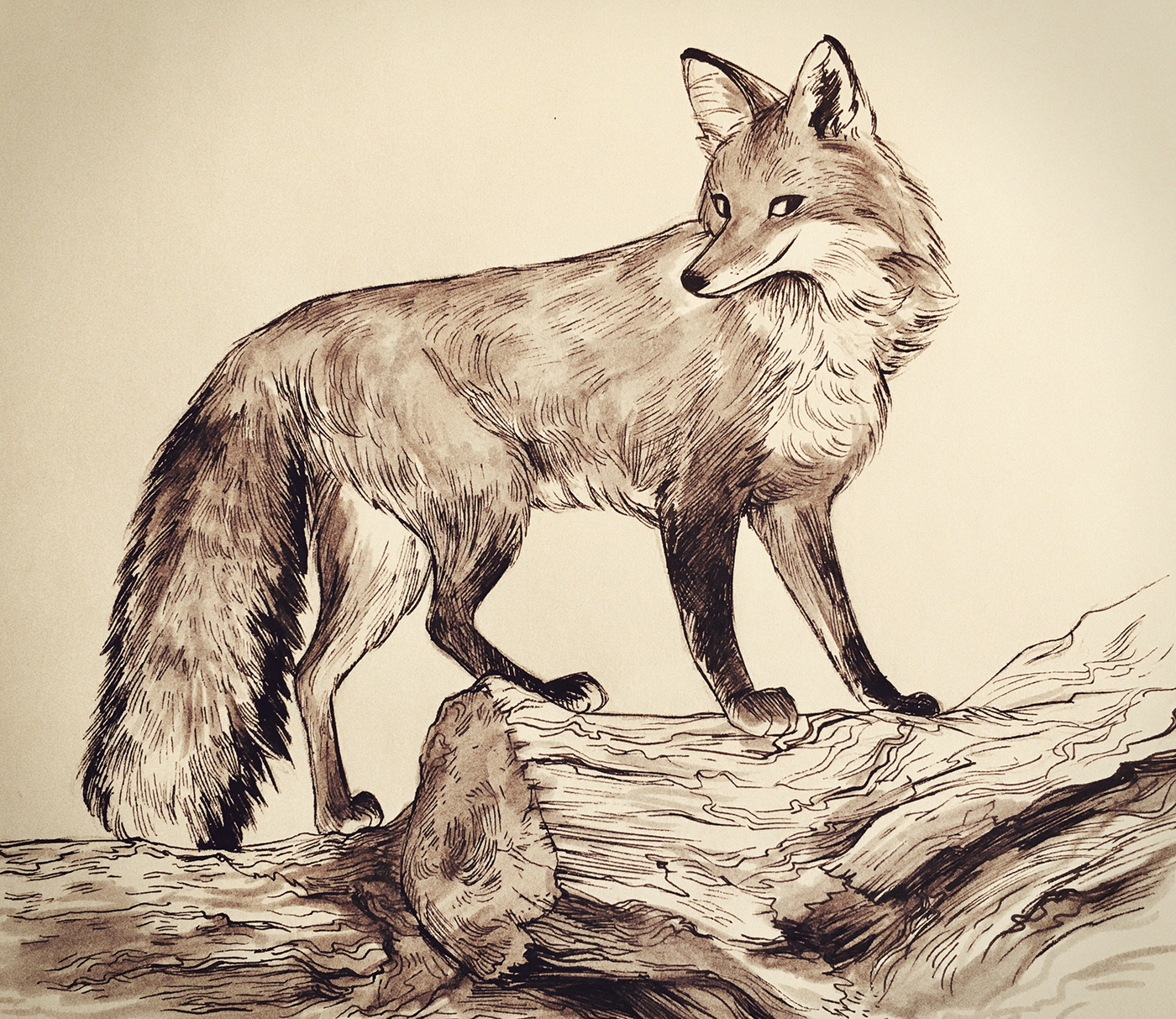 Идеи для рисования лисы