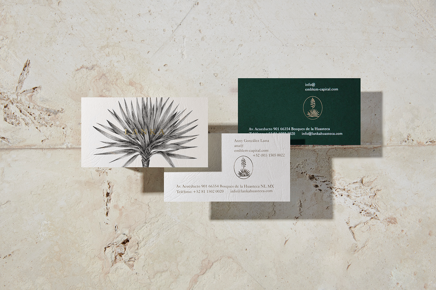 anagramastudio Lanka emblemcapital mexico huasteca yucca Nature splatters realestate branding 