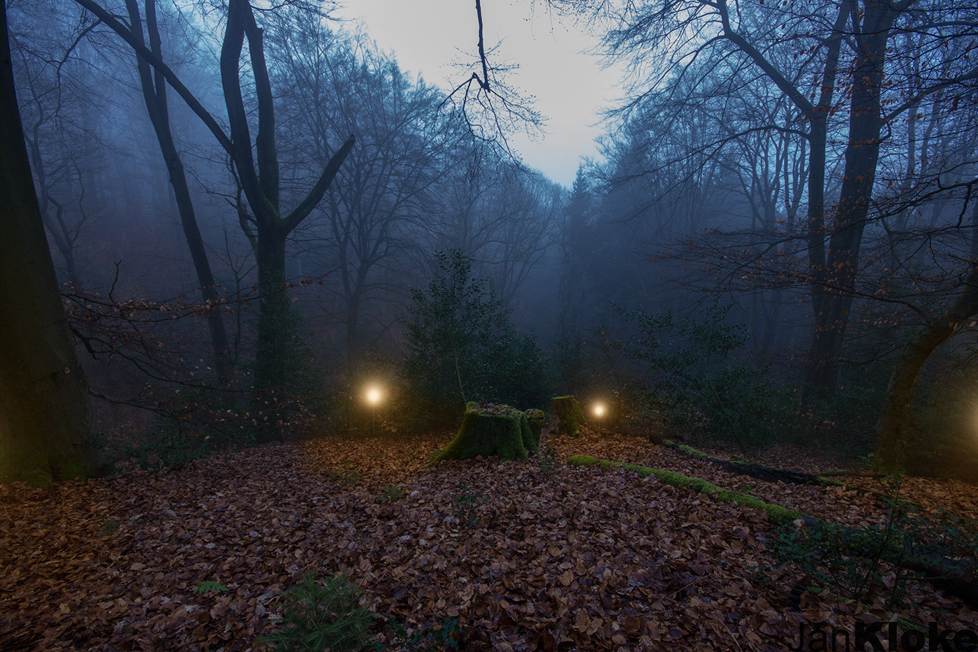 jan kloke misty forest mist wood woods dark night Lamp bulb light Spot fairytale fairy