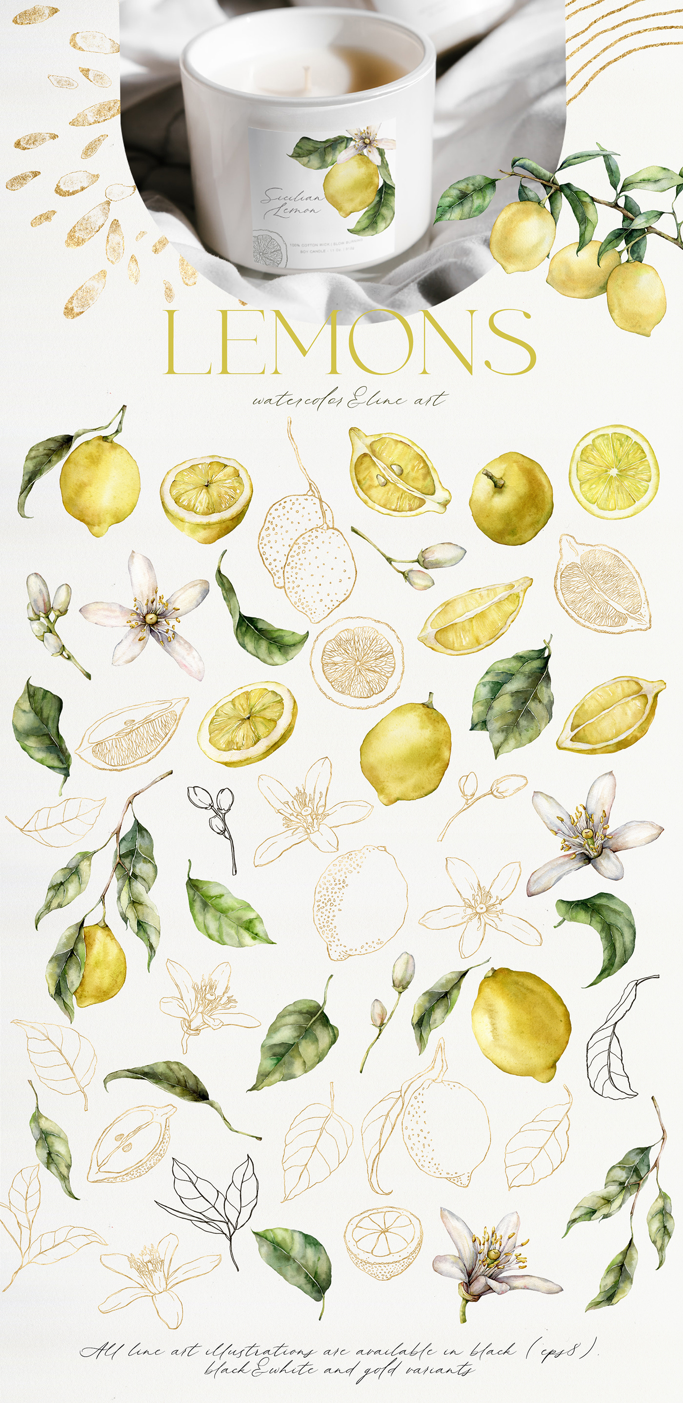 #abstract #Botanical #Branding #Citrus #Design #lemon #lemons #LineArt #mediterranean #Watercolor