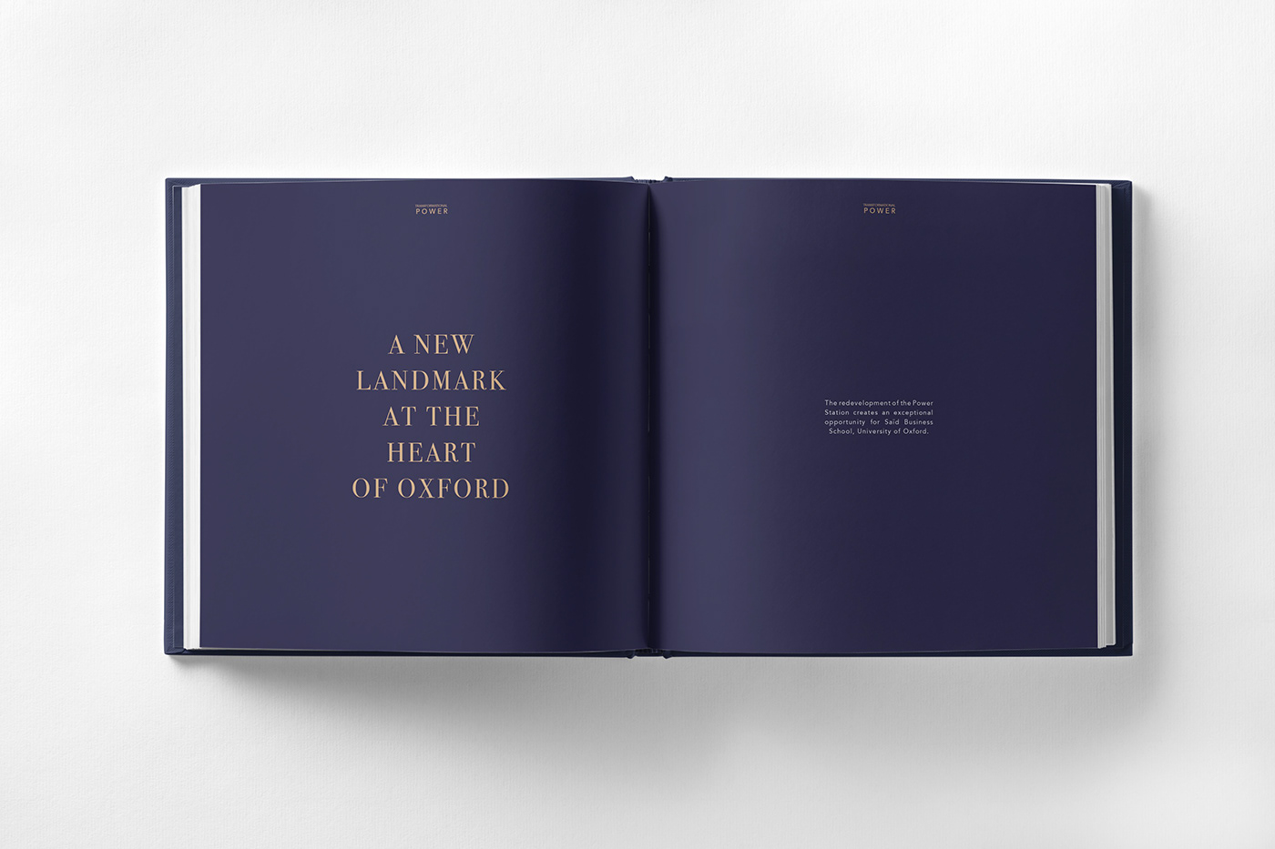 art direction  book brochure coffetablebook graphic design  Logo Design Luxury Design printdesign