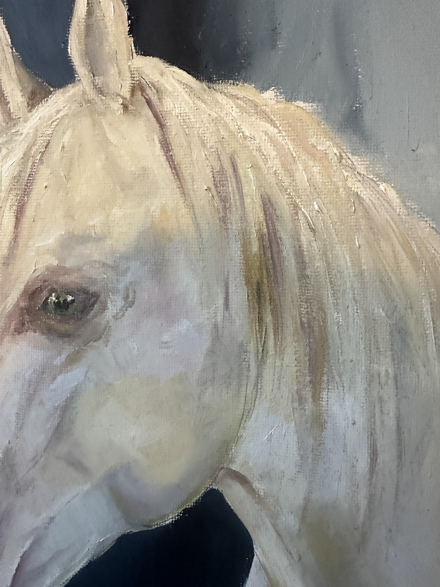 Art Artist Horse White
