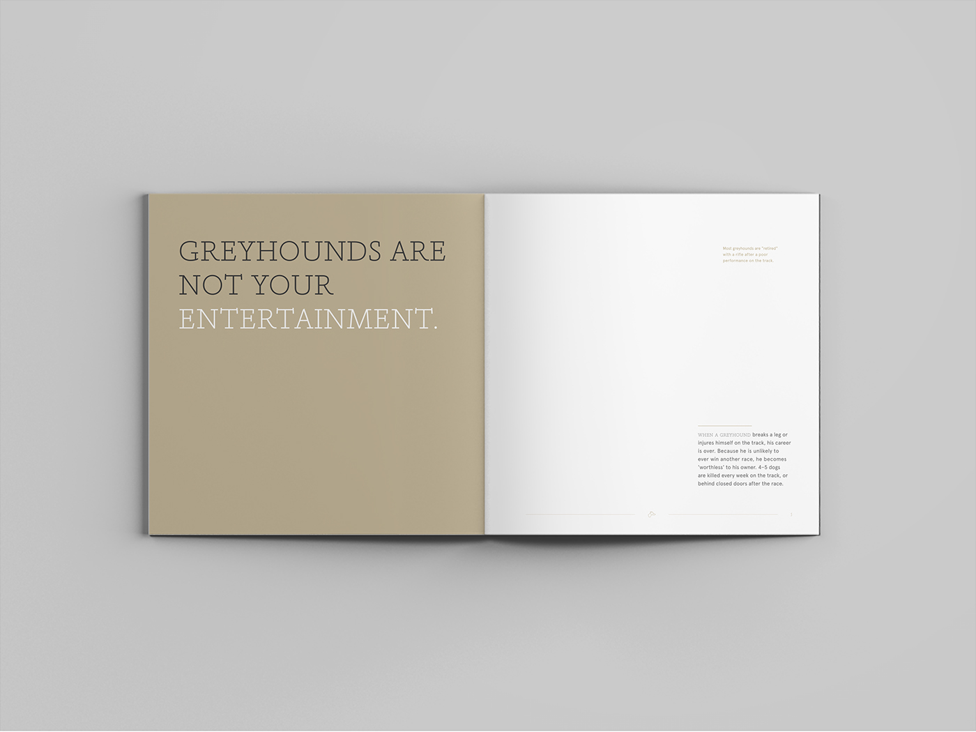 book design publication greyhounds