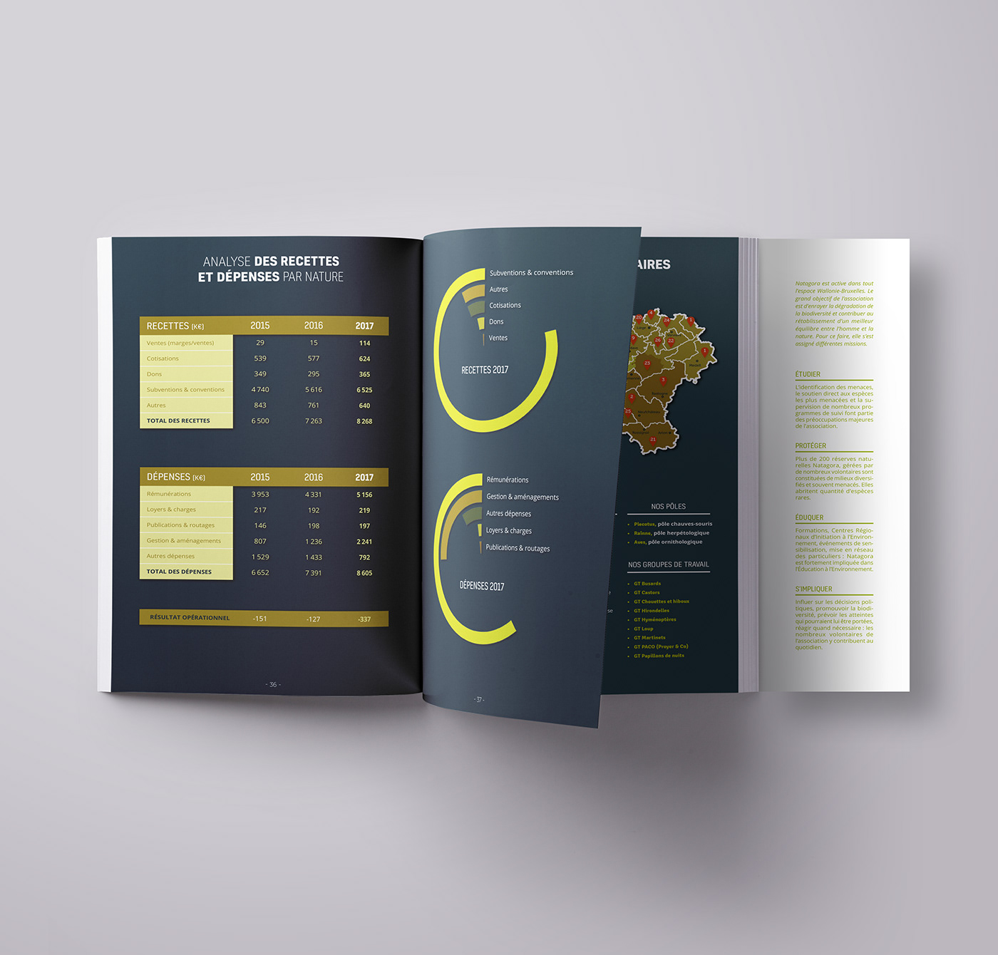 annual report butterfly corporate edition Layout mise en page Natagora Nature rapport annuel