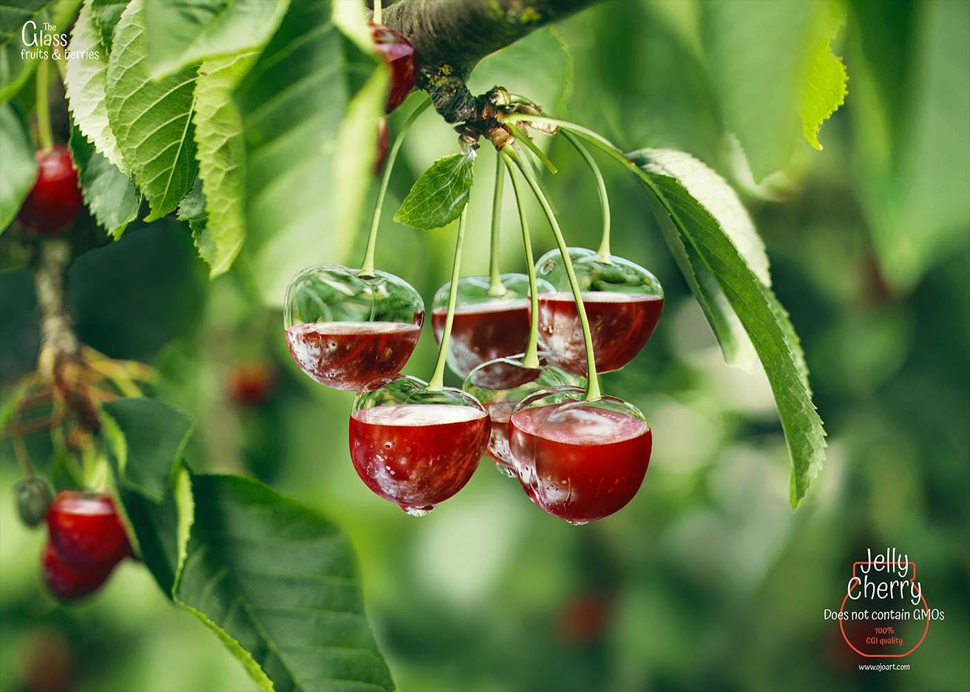 Fruit berries glass ojo juice 3dsmax CGI package design