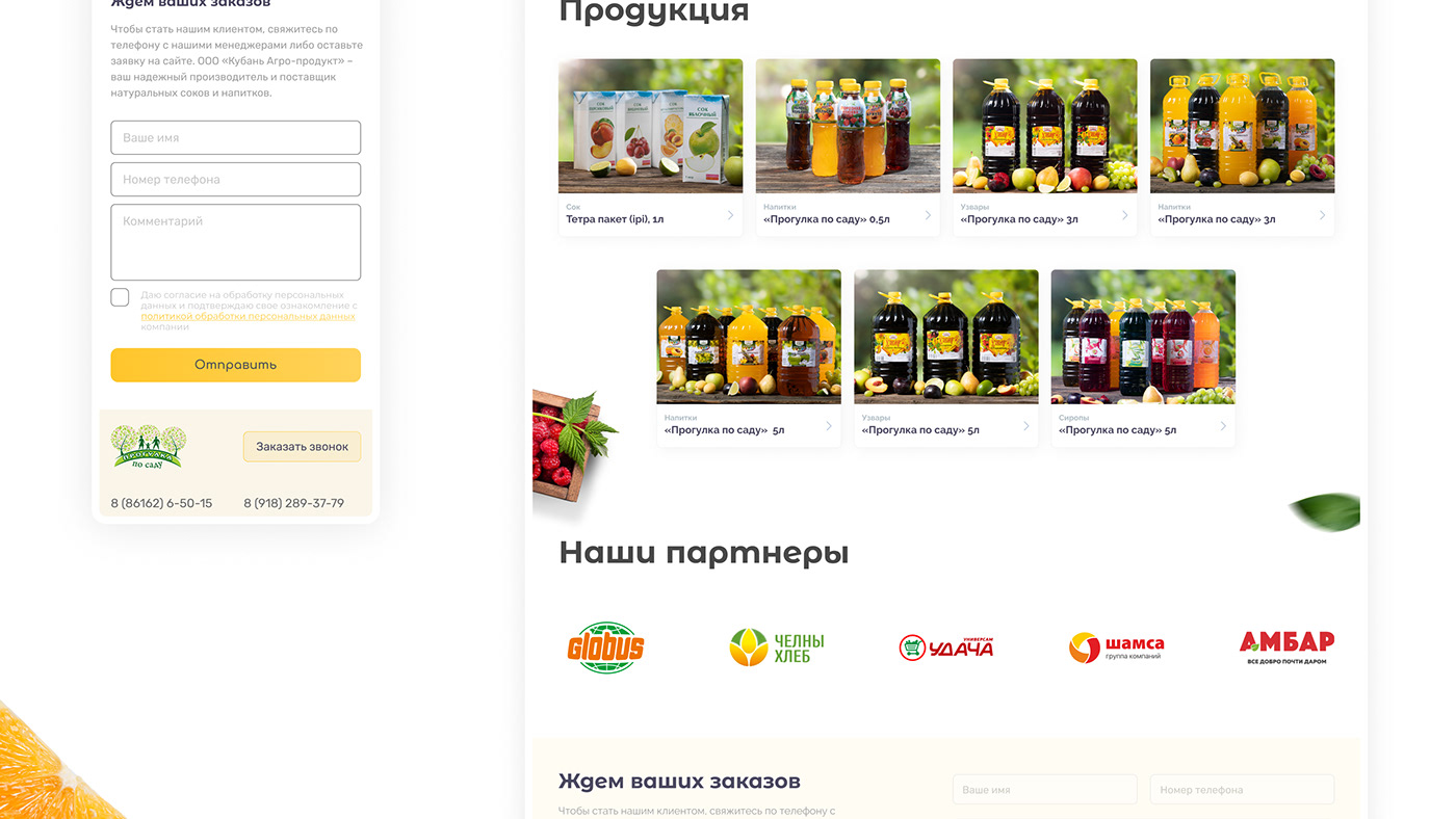 adobexd drink fruits Interface juice Juice Packaging mobile orange ux/ui Website