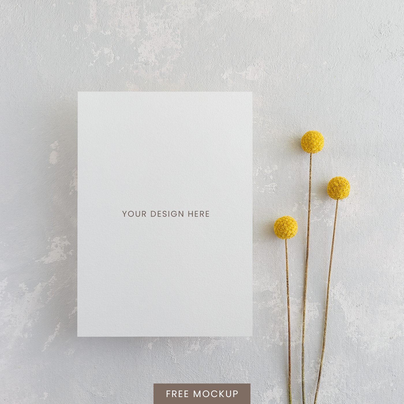 5x7 card mockup with billy buttons flowers on the grey background